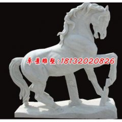 石雕馬，駿馬石雕，漢白玉駿馬雕塑
