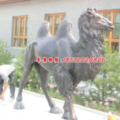 銅雕駱駝，公園動物銅雕