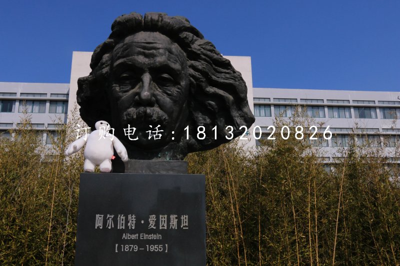 愛因斯坦頭像銅雕 校園名人銅雕