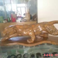 公園獵豹?jiǎng)游锸?>
              <h4>公園獵豹?jiǎng)游锸?/h4>
            </a>
          </li>
              </ul>
    </div>
  </div>
  <article class=