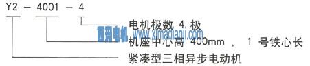 Y2系列三相異步電機技術參數——西安泰富西瑪電機（西安西瑪電機集團股份有限公司）官方網站