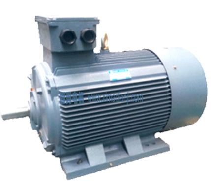 記錄一次YE2高效節(jié)能電機(jī)維修和保養(yǎng)過(guò)程