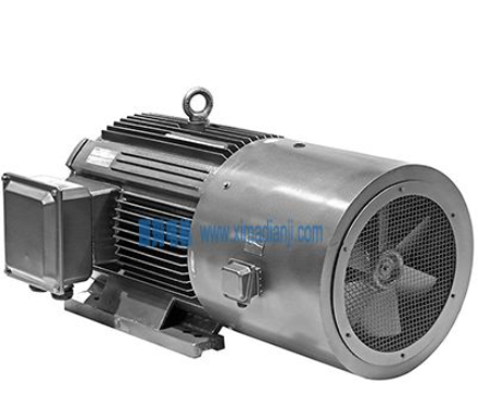 YVFE3高效變頻三相異步電動機振動異常處理過程