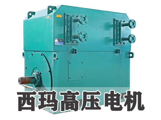 西安西瑪電機(jī)廠家:五種常見(jiàn)高壓電機(jī)故障及現(xiàn)場(chǎng)檢修方法